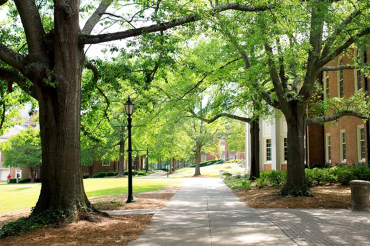 Beeson Walkway