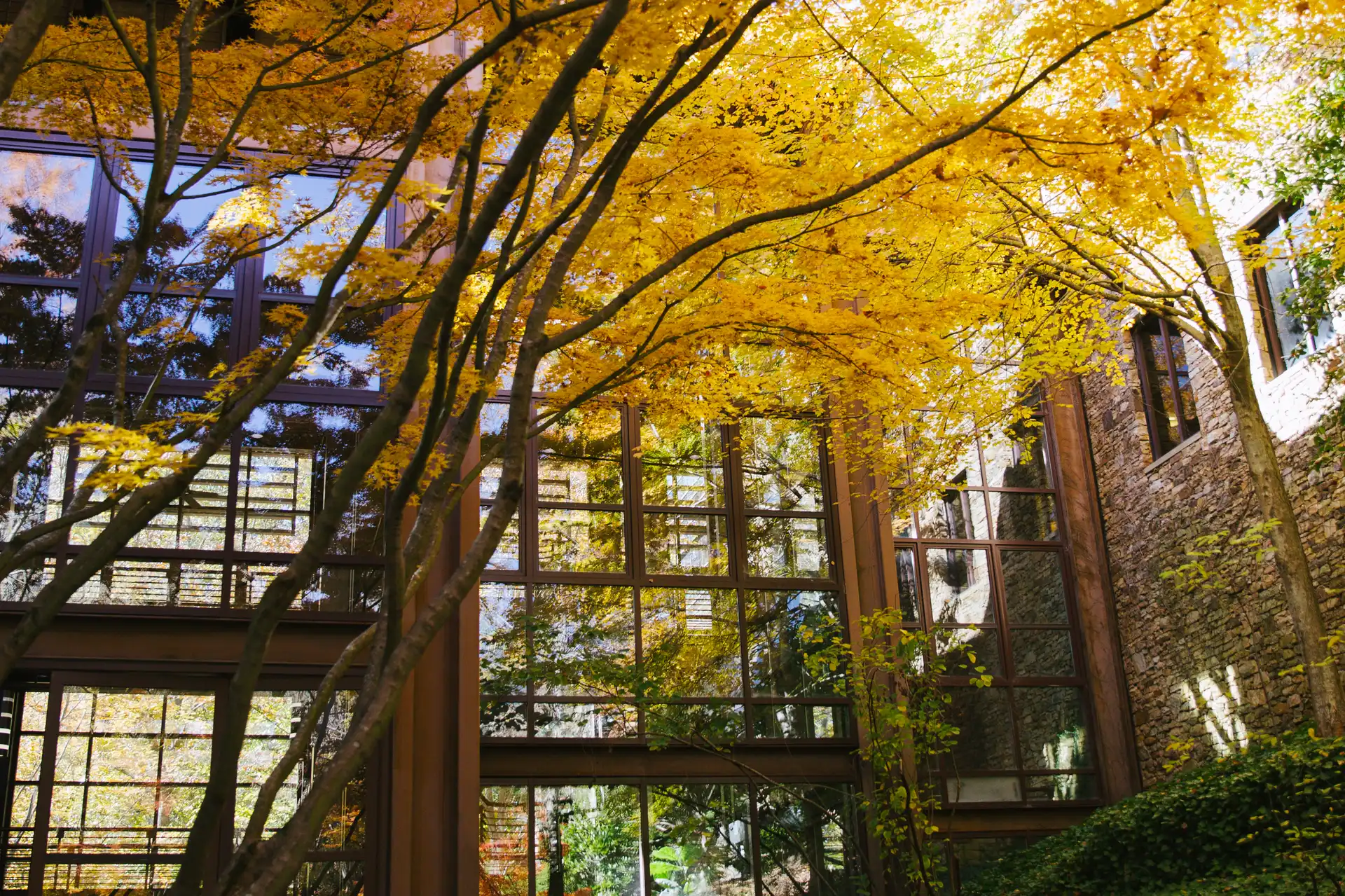 CHS Atrium in Fall