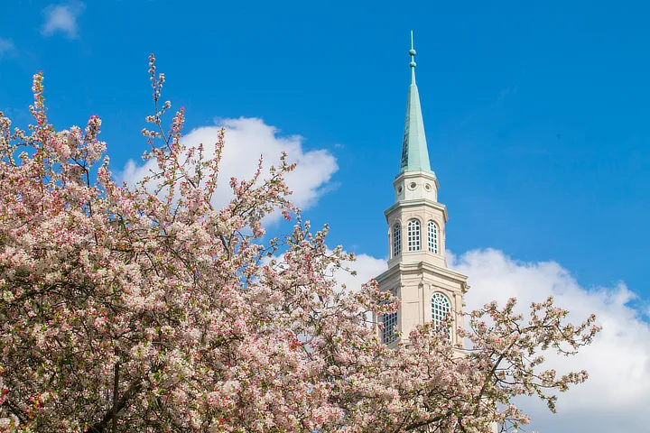 Reid Chapel Spring