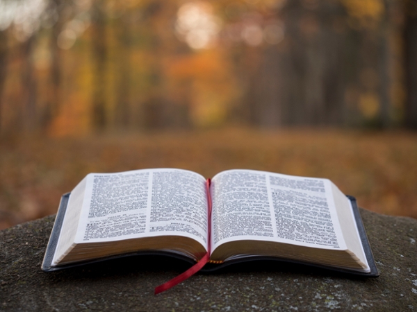 Open Bible on a Rock