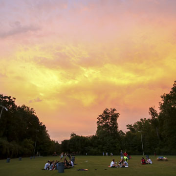 intramural field