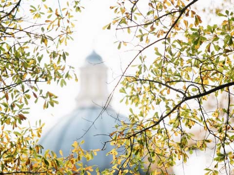 Hodges Dome Through Trees