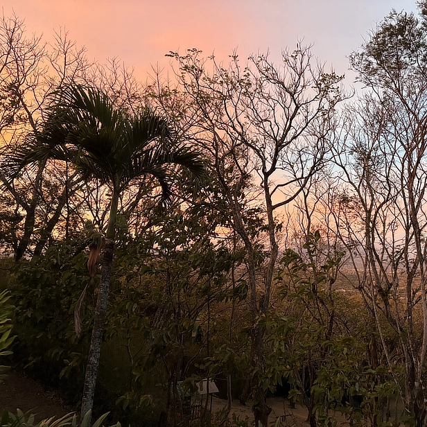 Finca Sunset