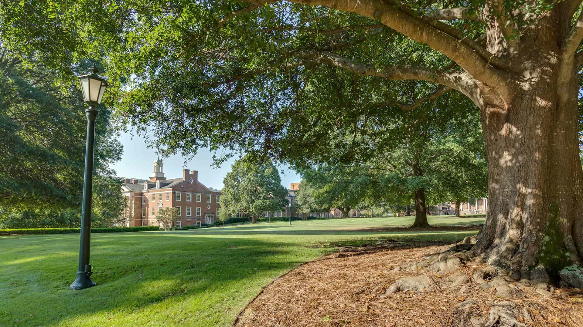 Samford Hall with crepe myrtles header