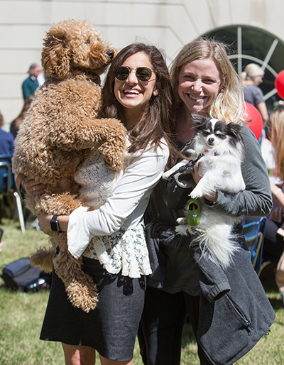 A law student's dog wears a hand-made Cumberland School of Law sweater for Rascal Day