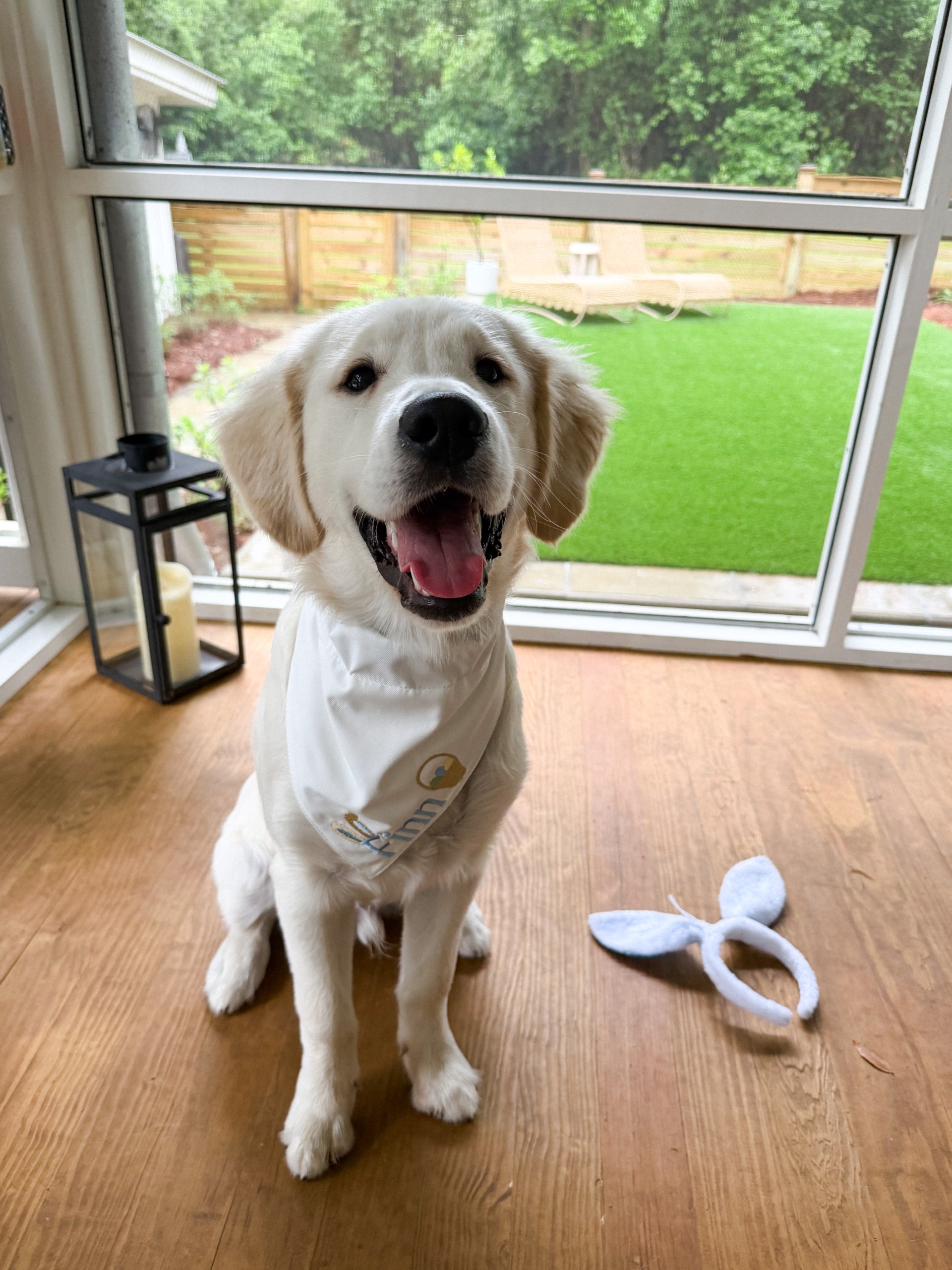 FinnMay26Rascal