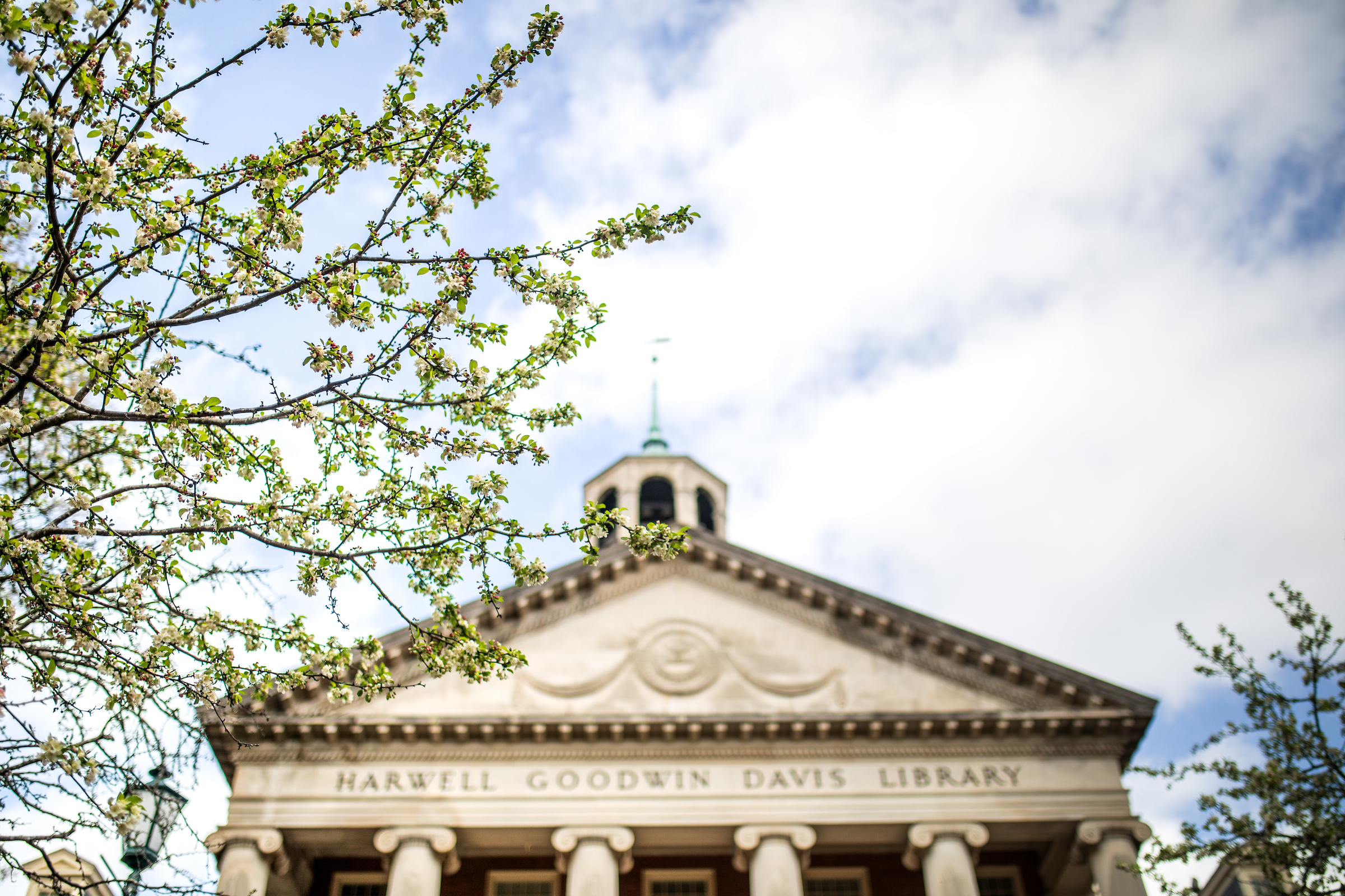 universitylibrary