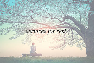 Man Sitting on Bench Under Tree